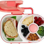 Pink bento box with a sandwich, fruits, and vegetables on a white background