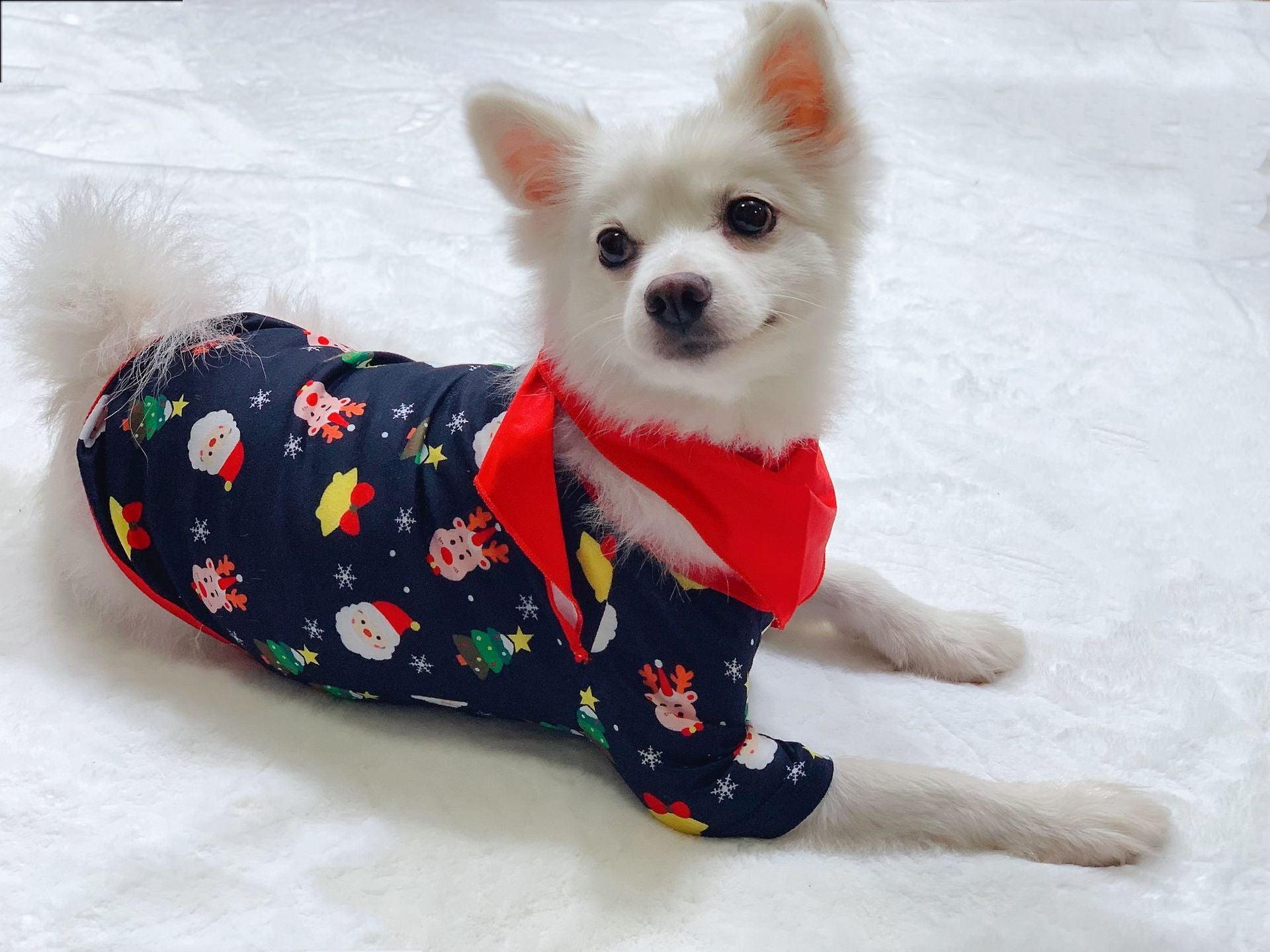Small white dog wearing a festive pajama with Christmas patterns on a white blanket.